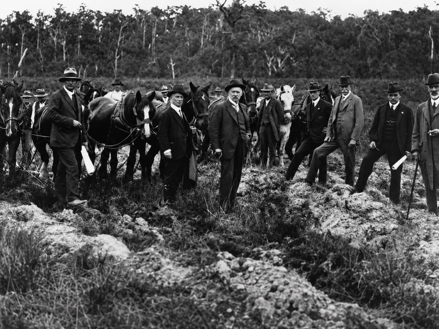 Restored black-and-white photograph of State Electricity Commission commissioners and senior staff with horses at the turning of the first sod for Yallourn A Power Station in February 1921.