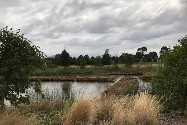 Experience Firmins Lane Wetlands