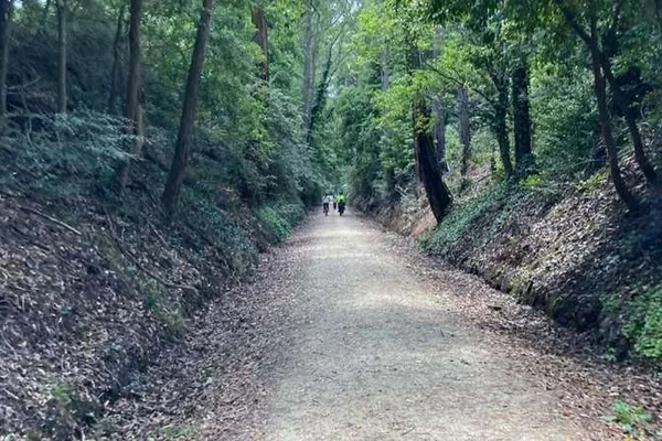 Experience Grand Ridge Rail Trail