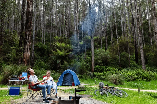 Visit Moondarra State Park