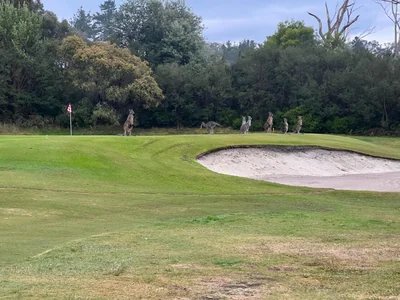 Morwell Golf Club