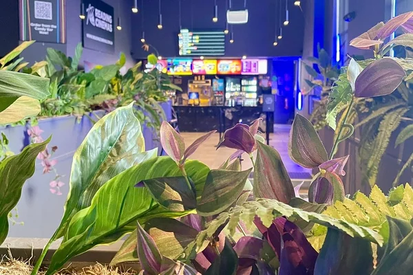 Visit Reading Cinema Traralgon