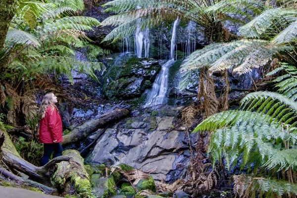 Visit Tarra Bulga National Park