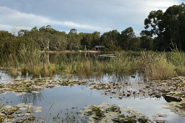 Visit Traralgon Railway Reservoir Conservation Reserve