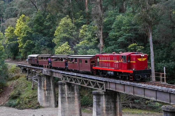 Experience Walhalla Scenic Drive