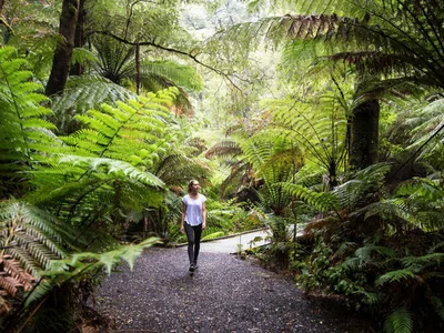 Fosters Gully Nature Walk