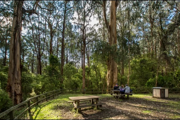 Experience Fosters Gully Nature Walk
