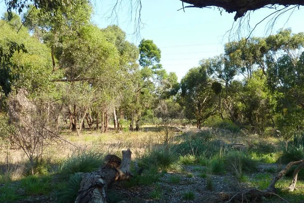 Visit Eric Lubcke Yarra Gum Conservation Reserve