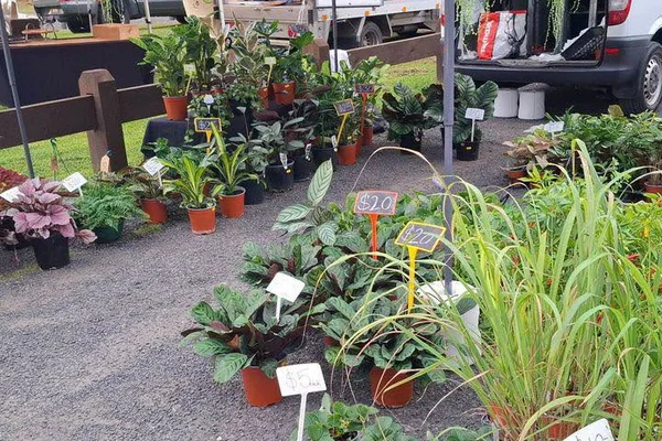 Experience Glengarry Market
