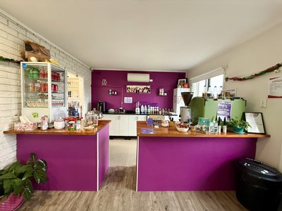 Grounded Paws Cat Cafe