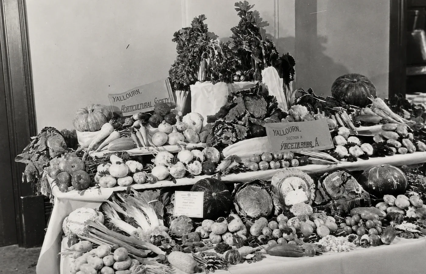 Black-and-white historical display of vegetables arranged on tiered tables beneath signs for the Yallourn Horticultural Society and Section A vegetables.