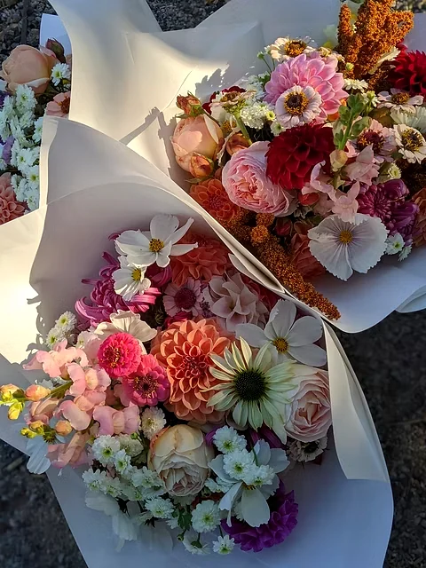 Two mixed bouquets of pink, cream, white and burgundy flowers wrapped in white paper.